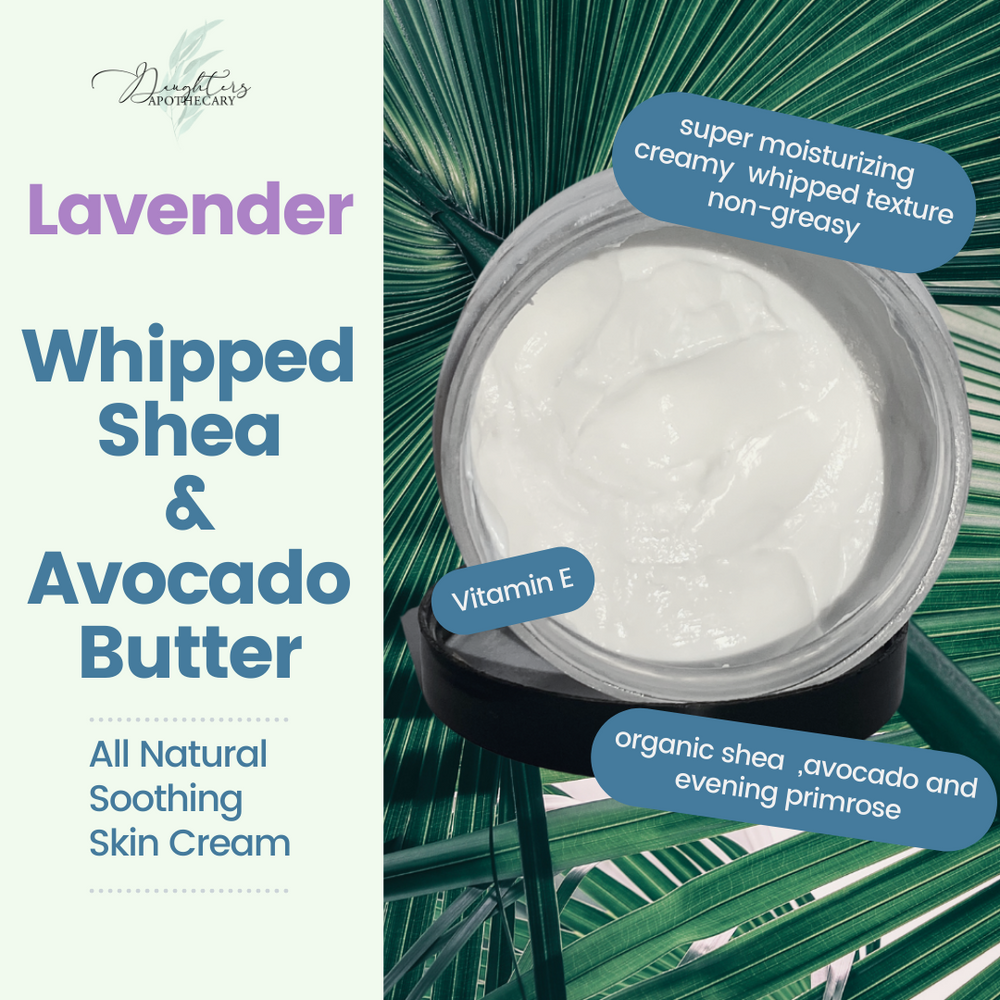 Whipped Shea & Avocado Body Cream   | Lavender